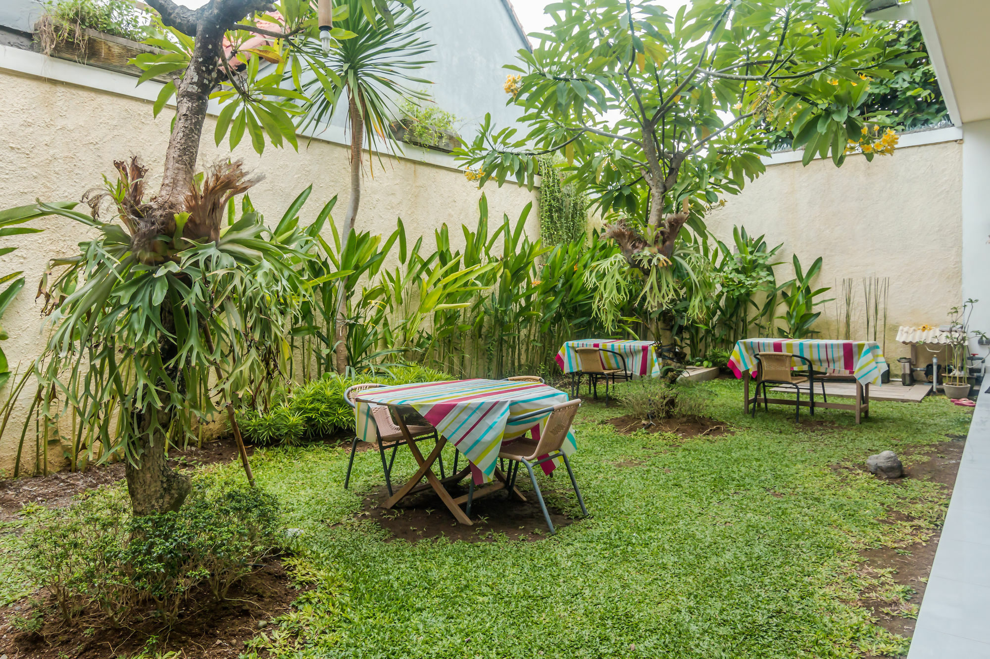 Zen Rooms Denpasar Mertasari Eksteriør bilde